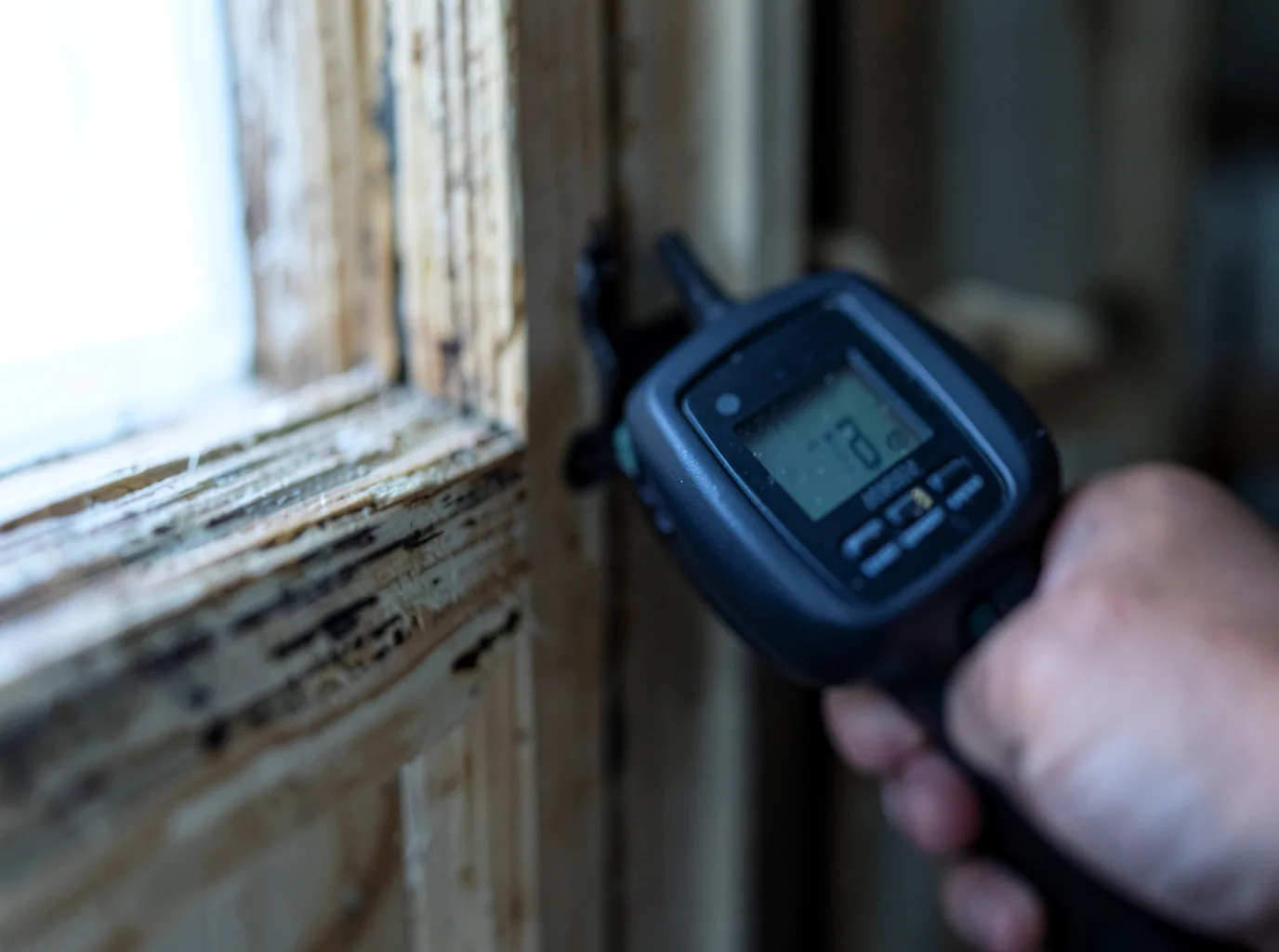 Moisture Inspection And Documentation in Freedom, PA